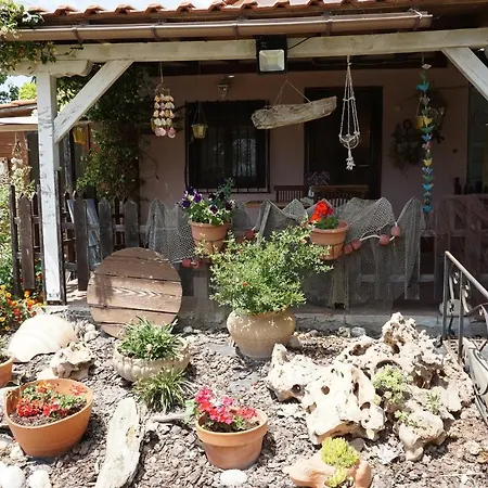 Sunrise House